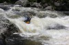 Thumbs/tn_Img_0561.jpg