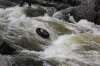 Thumbs/tn_Img_1002.jpg