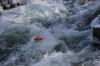 Thumbs/tn_Img_2411.jpg