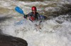 Thumbs/tn_Img_4784.jpg