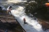 Thumbs/tn_Img_5188.jpg