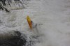 Thumbs/tn_Img_6989.jpg