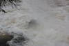 Thumbs/tn_Img_7171.jpg