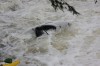 Thumbs/tn_Img_7174.jpg