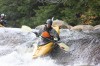 Thumbs/tn_Img_7207.jpg