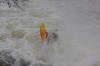 Thumbs/tn_Img_7278.jpg