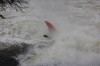 Thumbs/tn_Img_7297.jpg