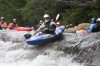 Thumbs/tn_Img_7363.jpg