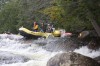 Thumbs/tn_Img_7410.jpg