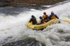 Thumbs/tn_Img_7422.jpg