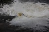 Thumbs/tn_Img_7429.jpg