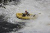 Thumbs/tn_Img_7431.jpg