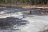 Thumbs/tn_Img_7786.jpg