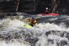 Thumbs/tn_Img_7939.jpg