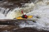 Thumbs/tn_Img_8018.jpg
