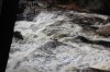 Thumbs/tn_Img_8021.jpg