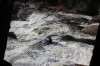 Thumbs/tn_Img_8024.jpg