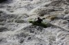 Thumbs/tn_Img_8032.jpg