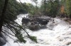 Thumbs/tn_Img_8036.jpg