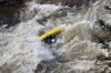 Thumbs/tn_Img_8082.jpg