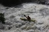 Thumbs/tn_Img_8096.jpg