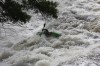 Thumbs/tn_Img_8109.jpg
