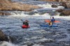 Thumbs/tn_Img_8124.jpg
