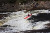 Thumbs/tn_Img_8128.jpg