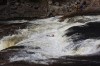 Thumbs/tn_Img_8130.jpg