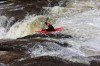 Thumbs/tn_Img_8134.jpg