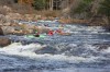 Thumbs/tn_Img_8157.jpg