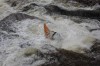 Thumbs/tn_Img_8285.jpg