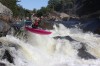 Thumbs/tn_Img_9717.jpg