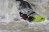 Thumbs/tn_Img_9731.jpg