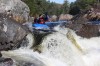 Thumbs/tn_Img_9754.jpg
