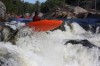 Thumbs/tn_Img_9774.jpg