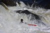 Thumbs/tn_Img_9776.jpg