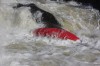 Thumbs/tn_Img_9781.jpg