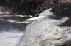 Thumbs/tn_Img_9783.jpg