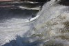 Thumbs/tn_Img_9784.jpg