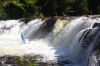 Thumbs/tn_Img_3287.jpg