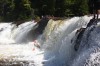 Thumbs/tn_Img_3343.jpg