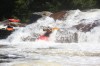 Thumbs/tn_Img_3385.jpg