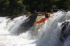Thumbs/tn_Img_3388.jpg