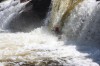 Thumbs/tn_Img_3512.jpg