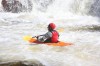 Thumbs/tn_Img_3516.jpg