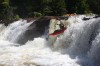 Thumbs/tn_Img_3679.jpg