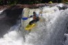 Thumbs/tn_Img_3687.jpg