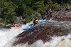 Thumbs/tn_Img_3783.jpg