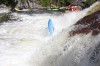 Thumbs/tn_Img_3785.jpg